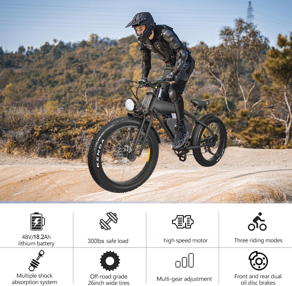 Ealirie Electric Bike 26" Fat Tire Range 40-80KM, 18.2Ah Winter Snow Beach Hill Mountain Electric Bicycle, Dual Disc Brakes & 5 Suspension for Adults Teens B3 Ebike 25km/h, 250W