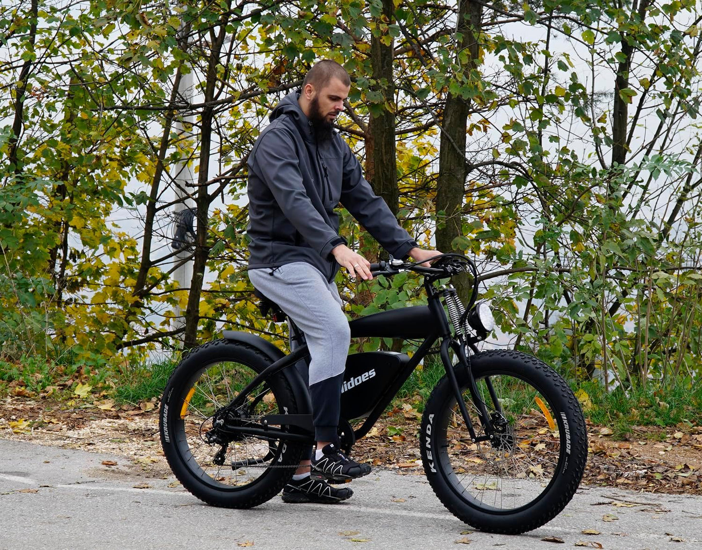 Ealirie Electric Bike 26" Fat Tire Range 40-80KM, 18.2Ah Winter Snow Beach Hill Mountain Electric Bicycle, Dual Disc Brakes & 5 Suspension for Adults Teens B3 Ebike 25km/h, 250W