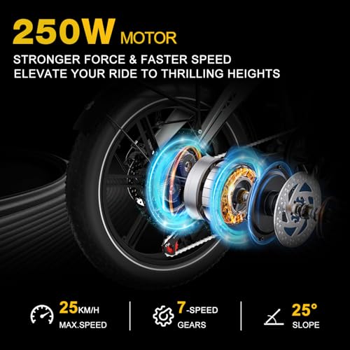 HITWAY 20 * 4.0” Electric Bike, 48V 10.4Ah Battery up to 50-100KM, 250W Motor Fat Tire E Bike, Foldable Electric Bicycles with 7-Speeds for Adult Commuters