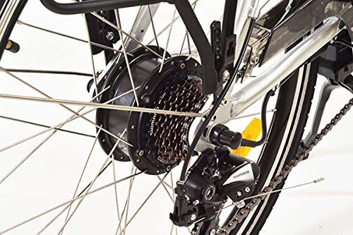 e-Ranger Cruiser floral electric bike