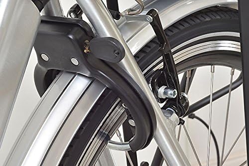 e-Ranger Cruiser floral electric bike