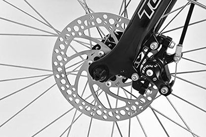 e-Ranger Cruiser floral electric bike