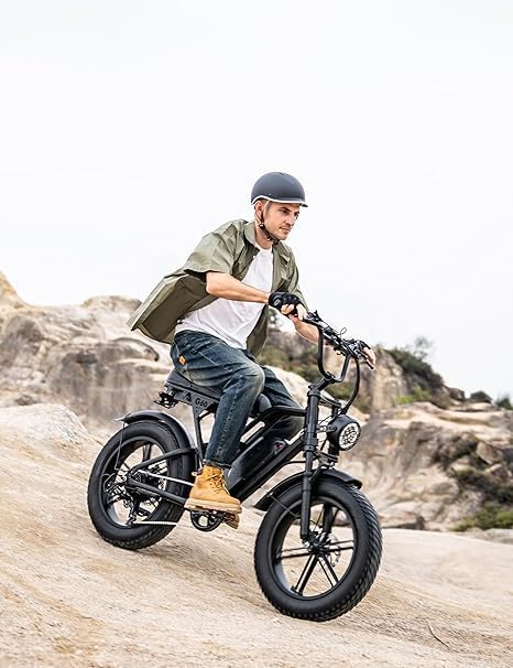 electric bike for adult