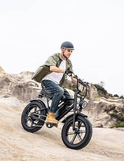 electric bike for adult