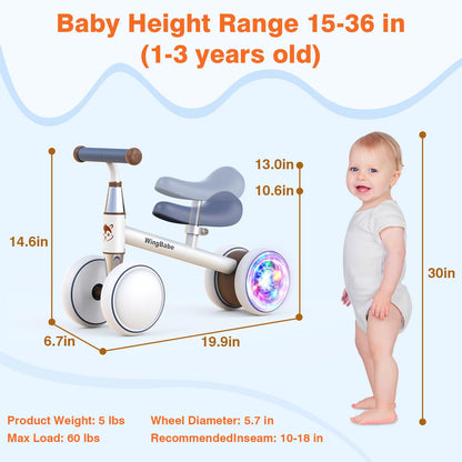 WINGBABE Baby Balance Bike for 1-2 Years Old Boys Girls,Toddler Balance Bike Ride on Toys for 10-24 Months Baby with Adjustable Seat, First bike for 1-2 Year Old Gifts