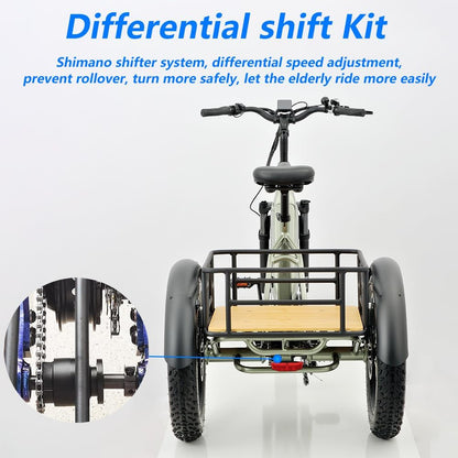 REVOM Electric Trike Cargo E-bike, with 48V15Ah Lithium Battery&250W High-Speed Motor&7-Speed Shifter and 20x4.0 inch Kenda Tyre,Riding Range 50-80km,Adult Electric Tricycles for Men and Women UK.