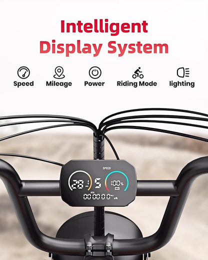 electric bike for adult