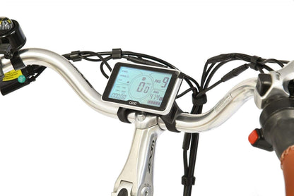 e-Ranger Cruiser floral electric bike