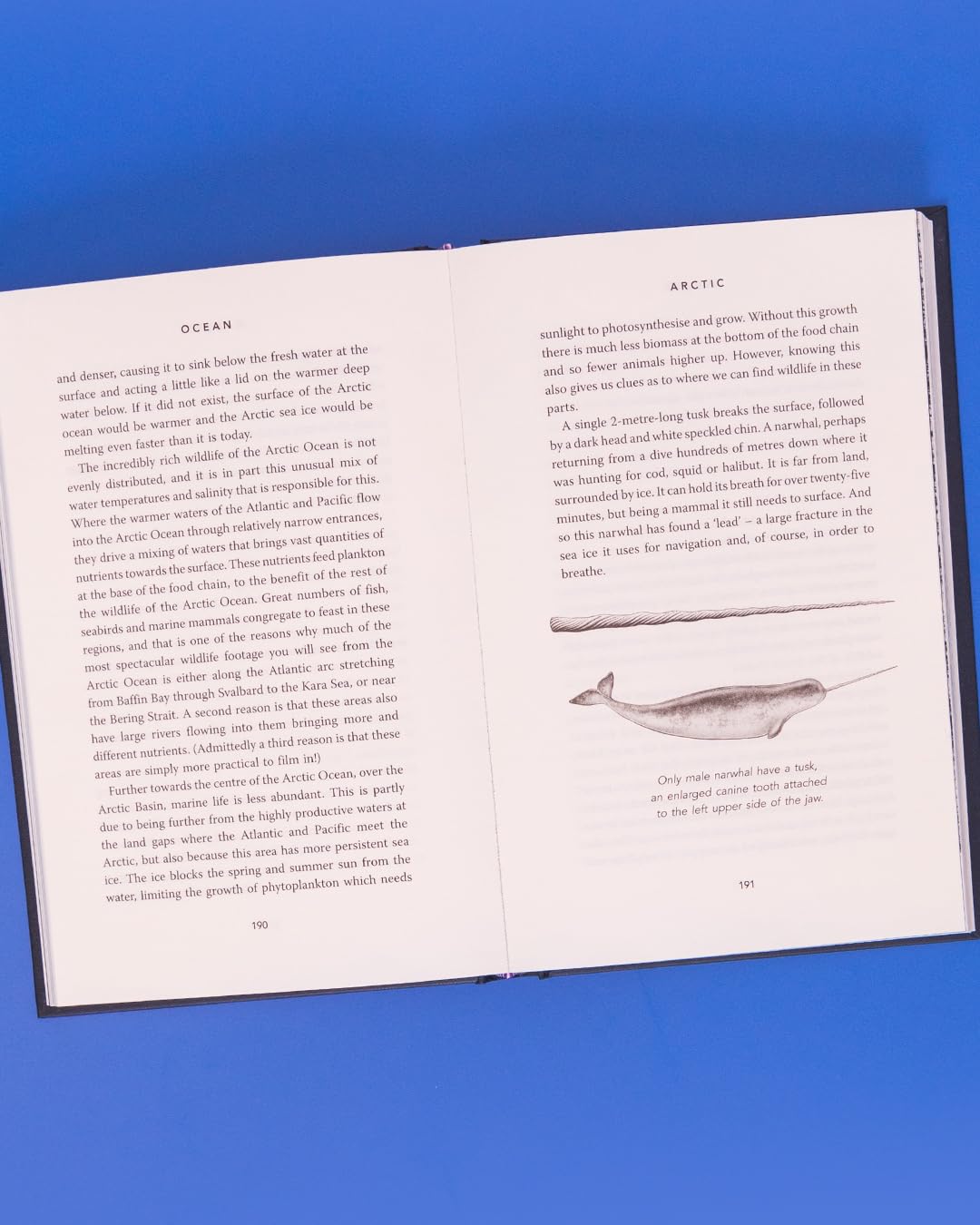 Ocean: Earth's Last Wilderness - THE LANDMARK NEW BOOK BY DAVID ATTENBOROUGH