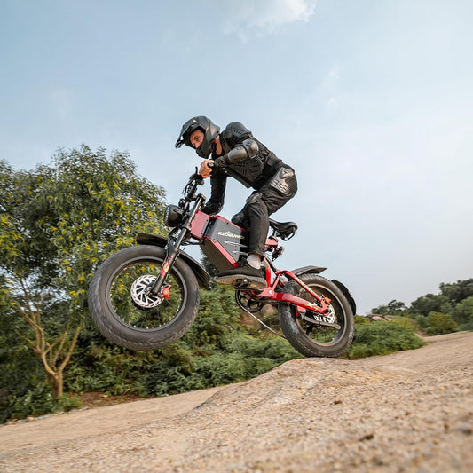 RZOGUWEX Electric Bicycle，20 Inch 160NM Dual Motor Off-Road EBIKE for Adults with 48V 30AH Detachable Lithium Ion Battery, Dual Hydraulic Brake
