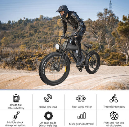Ealirie Electric Bike 26" Fat Tire Range 40-80KM, 18.2Ah Winter Snow Beach Hill Mountain Electric Bicycle, Dual Disc Brakes & 5 Suspension for Adults Teens B3 Ebike 25km/h, 250W