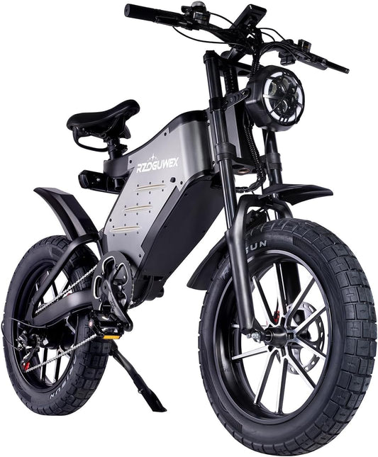 RECEGARA Electric Bicycle，48V 25AH Off-Road EBIKE for Adults with Detachable Lithium Ion Battery, 20 inch Moutain bike with Dual Hydraulic Disc Brake and Forged Mags Wheel