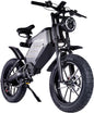 RECEGARA Electric Bicycle，48V 25AH Off-Road EBIKE for Adults with Detachable Lithium Ion Battery, 20 inch Moutain bike with Dual Hydraulic Disc Brake and Forged Mags Wheel