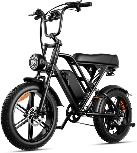 electric bike for adult