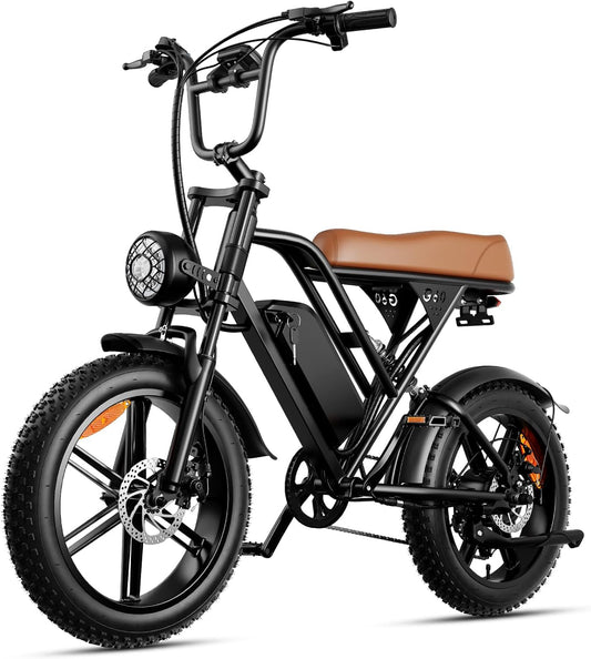 electric bike for adult
