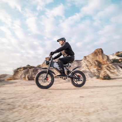 RECEGARA Electric Bicycle，48V 25AH Off-Road EBIKE for Adults with Detachable Lithium Ion Battery, 20 inch Moutain bike with Dual Hydraulic Disc Brake and Forged Mags Wheel