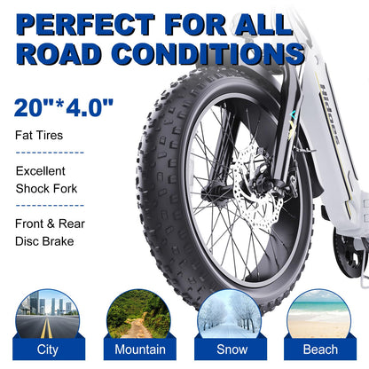 iENYRID E-bike Electric Bike for Adults,13Ah/17Ah Battery 30-90Km Range,250W Motor Hidoes E Bike for Men Women Electric Urban Bike Adults,20"/27.5" Fat Tire Electric Bike 7-Speed
