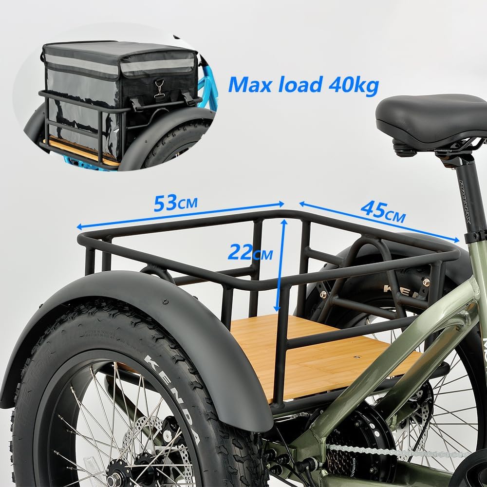 REVOM Electric Trike Cargo E-bike, with 48V15Ah Lithium Battery&250W High-Speed Motor&7-Speed Shifter and 20x4.0 inch Kenda Tyre,Riding Range 50-80km,Adult Electric Tricycles for Men and Women UK.