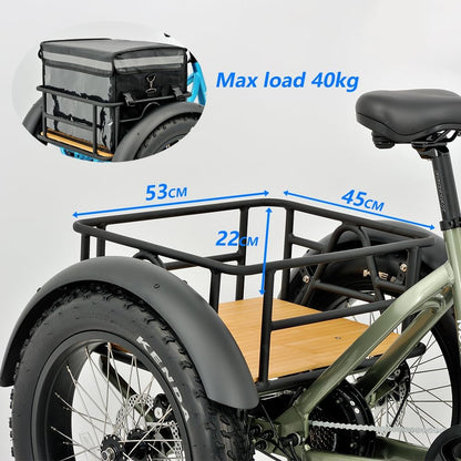 REVOM Electric Trike Cargo E-bike, with 48V15Ah Lithium Battery&250W High-Speed Motor&7-Speed Shifter and 20x4.0 inch Kenda Tyre,Riding Range 50-80km,Adult Electric Tricycles for Men and Women UK.