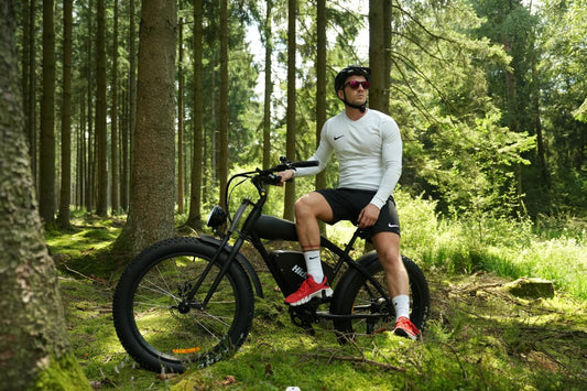 Ealirie Electric Bike 26" Fat Tire Range 40-80KM, 18.2Ah Winter Snow Beach Hill Mountain Electric Bicycle, Dual Disc Brakes & 5 Suspension for Adults Teens B3 Ebike 25km/h, 250W
