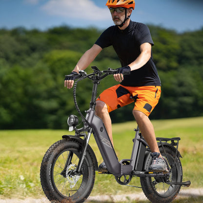 Fafrees Folding Electric Bikes for Adults, 48V 10.4AH*2 Removable Batteries Pedal Assist Ebike,140km Range, 20 * 4.0 INCHES Fat Tire MTB for Snow Beach, FF20 Polar