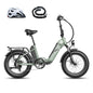 Fafrees FF20 Polar Folding Electric Bike, 998Wh Dual Battery, 140km Range, 20x4.0 INCHES Fat Tyres, Pedal Assist EBike for Audlts