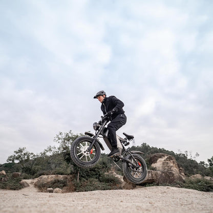 RECEGARA Electric Bicycle，48V 25AH Off-Road EBIKE for Adults with Detachable Lithium Ion Battery, 20 inch Moutain bike with Dual Hydraulic Disc Brake and Forged Mags Wheel