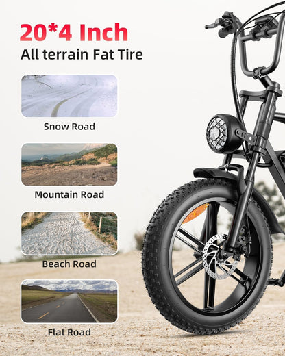 electric bike for adult