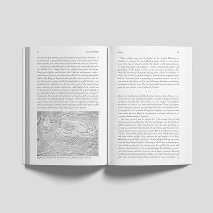 Fall of Civilizations: Stories of Greatness and Decline – The Sunday Times Bestseller