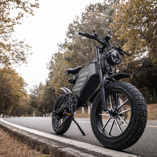 RECEGARA Electric Bicycle，48V 25AH Off-Road EBIKE for Adults with Detachable Lithium Ion Battery, 20 inch Moutain bike with Dual Hydraulic Disc Brake and Forged Mags Wheel