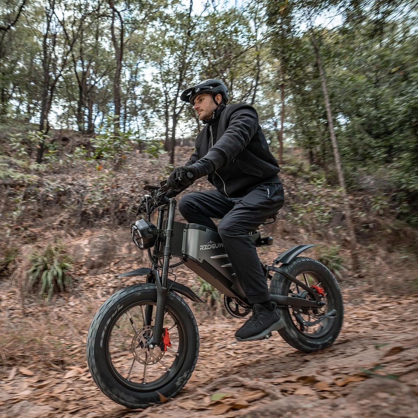 RECEGARA Electric Bicycle，48V 25AH Off-Road EBIKE for Adults with Detachable Lithium Ion Battery, 20 inch Moutain bike with Dual Hydraulic Disc Brake and Forged Mags Wheel