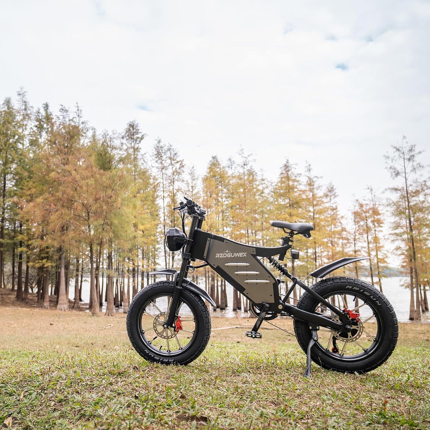RECEGARA Electric Bicycle，48V 25AH Off-Road EBIKE for Adults with Detachable Lithium Ion Battery, 20 inch Moutain bike with Dual Hydraulic Disc Brake and Forged Mags Wheel